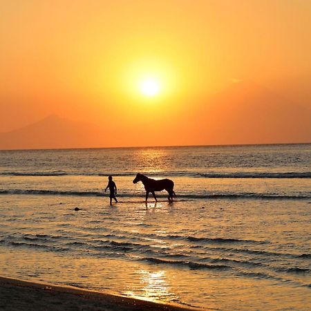 Villa Sunset Beach Гили Траванган Экстерьер фото